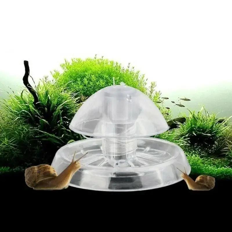 Aquarium Planting Ideas - กับดักหอยทากพลาสติกใสขนาด 6/8 ซม. รุ่นใหม่ ปี 2026