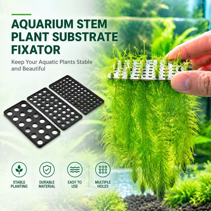 Planted Aquarium With Gravel - ตัวยึดพืชใต้น้ำสำหรับตู้ปลา ตัวยึดฐานกรวดสำหรับจัดภูมิทัศน์ใต้น้ำ