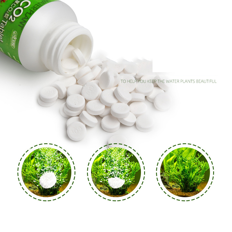 ISTA Fish Tank Aquarium CO2แท็ - Aquarium Plant Vitamins บทวิจารณ์และราคา