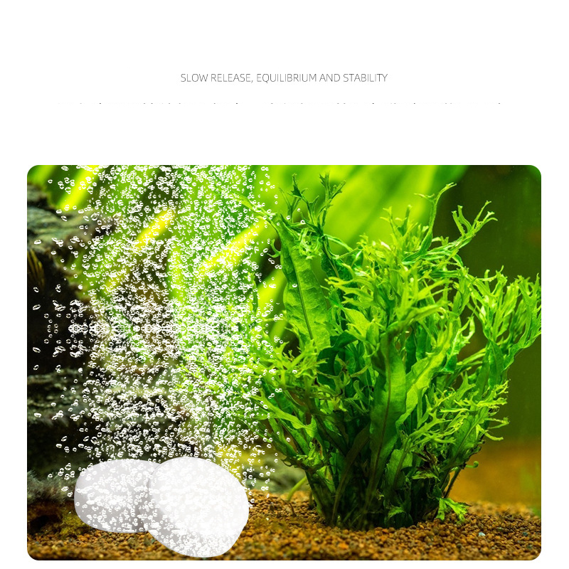 ISTA Fish Tank Aquarium CO2แท็ - Aquarium Plant Vitamins บทวิจารณ์และราคา