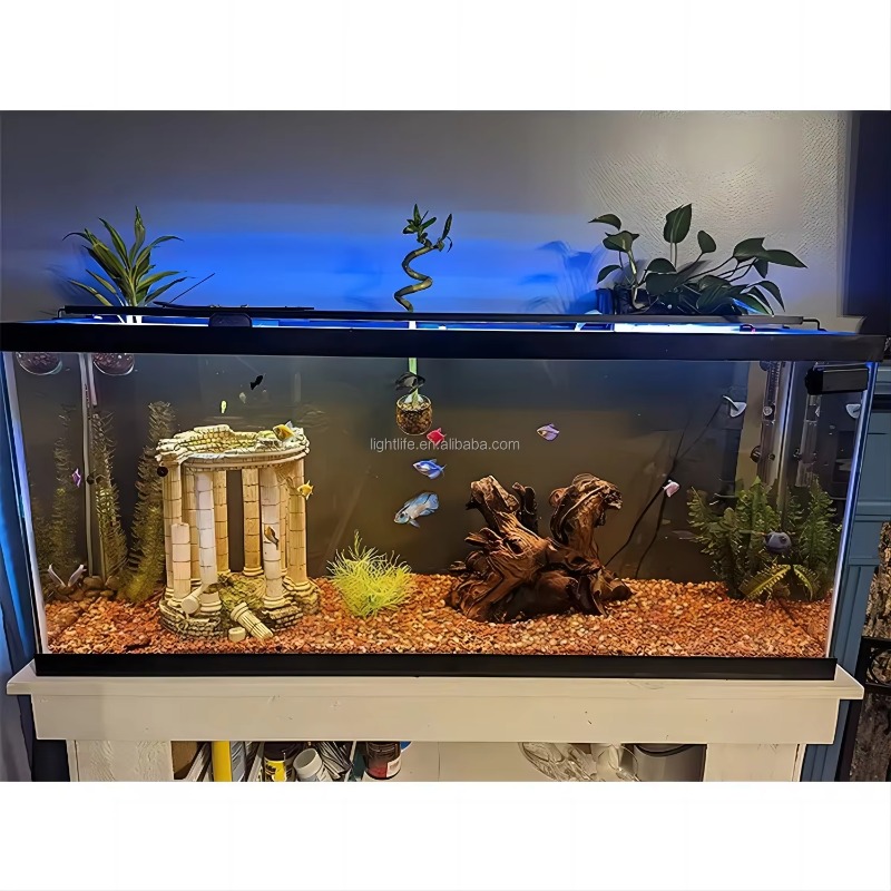 ไฟ LED สำหรับตู้ปลาแบบกันน้ำ ท - Planted Aquarium Cycling บทวิจารณ์และราคา