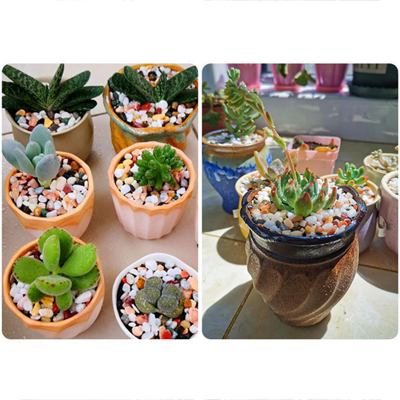 ทรายธรรมชาติสำหรับตู้ปลา 5 มม. - Planted Aquarium With Gravel บทวิจารณ์และราคา