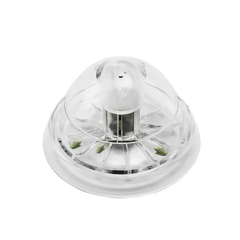 กับดักหอยทากพลาสติกใสขนาด 6/8  - Aquarium Planting Ideas บทวิจารณ์และราคา