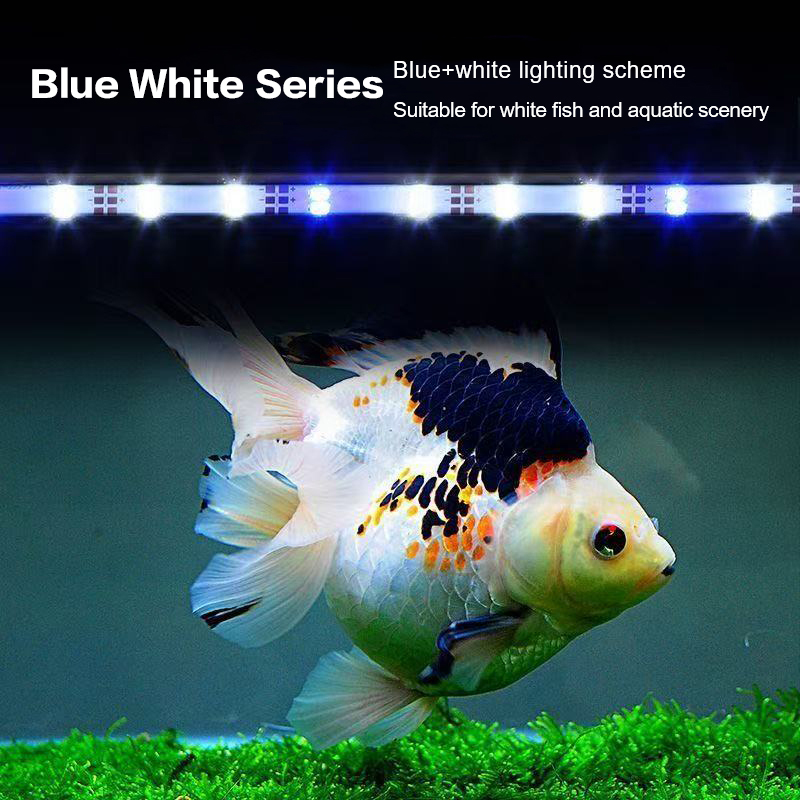 ไฟ LED สำหรับตู้ปลาแบบเสียบ US - Aquarium Planting Ideas บทวิจารณ์และราคา