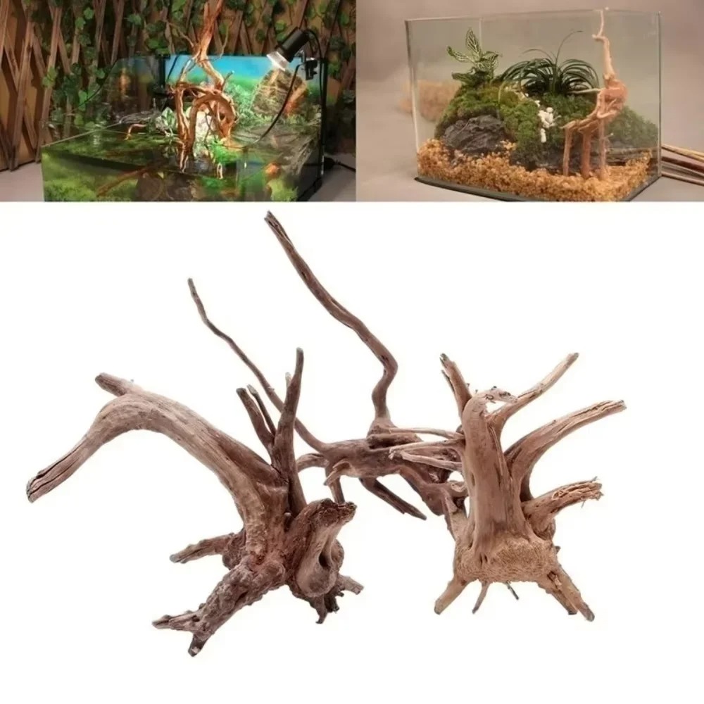 ไม้ลอยน้ำธรรมชาติขนาด 15-20 ซม - Aquarium Planting Ideas บทวิจารณ์และราคา
