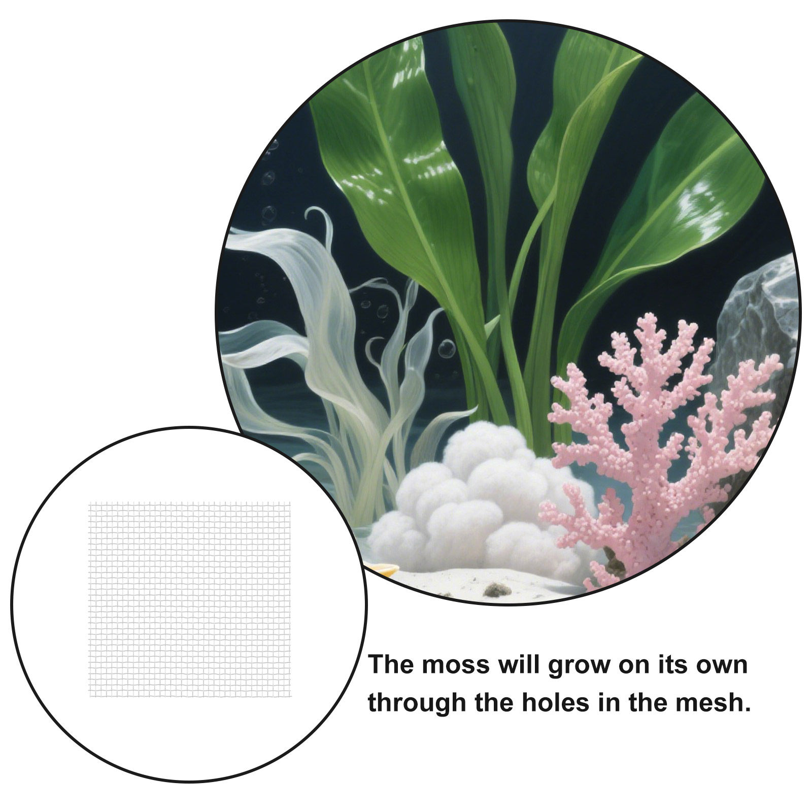 12 ชิ้น แผ่นตาข่ายลวดสแตนเลส ต - Aquarium Planted Tank Setup บทวิจารณ์และราคา