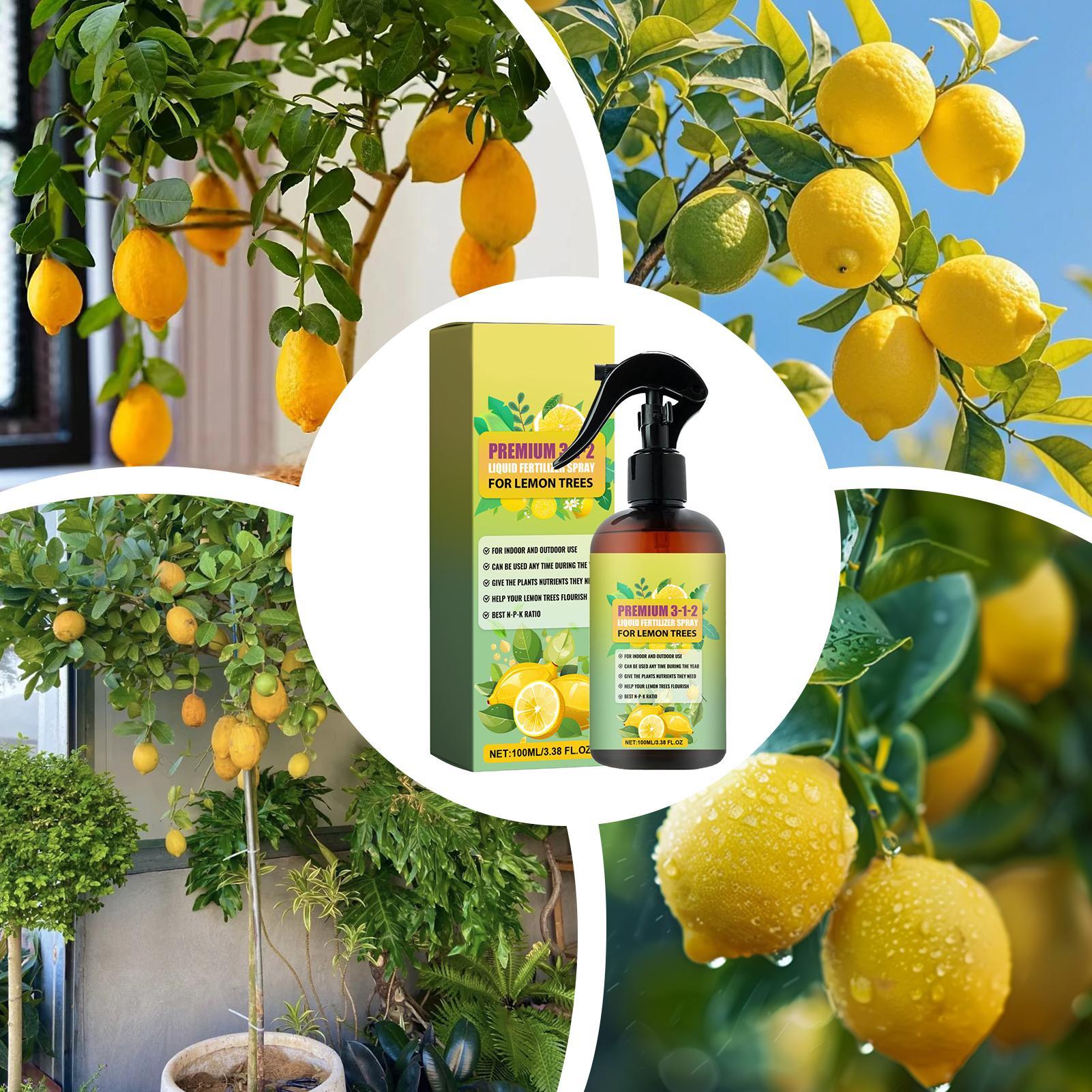 น้ำยาบำรุงต้นไม้สูตรเข้มข้น กล - Liquid Fertilizer All In บทวิจารณ์และราคา