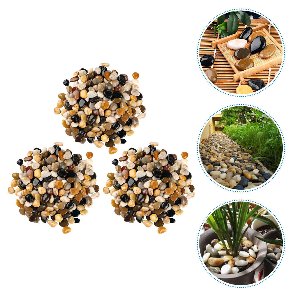 3 แพ็ค หินกรวดทรงกลมธรรมชาติ ส - Planted Aquarium With Gravel บทวิจารณ์และราคา