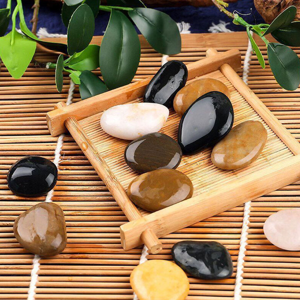 3 แพ็ค หินกรวดทรงกลมธรรมชาติ ส - Planted Aquarium With Gravel บทวิจารณ์และราคา