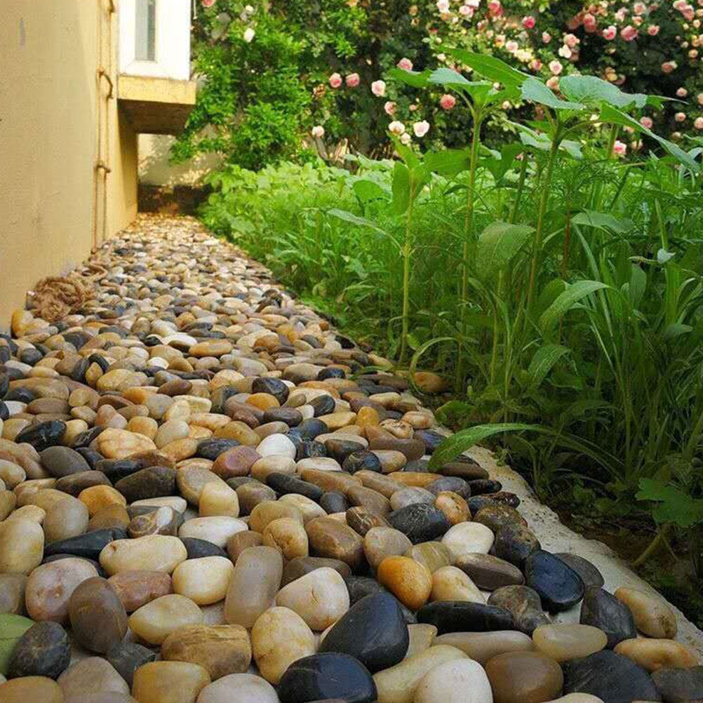 3 แพ็ค หินกรวดทรงกลมธรรมชาติ ส - Planted Aquarium With Gravel บทวิจารณ์และราคา