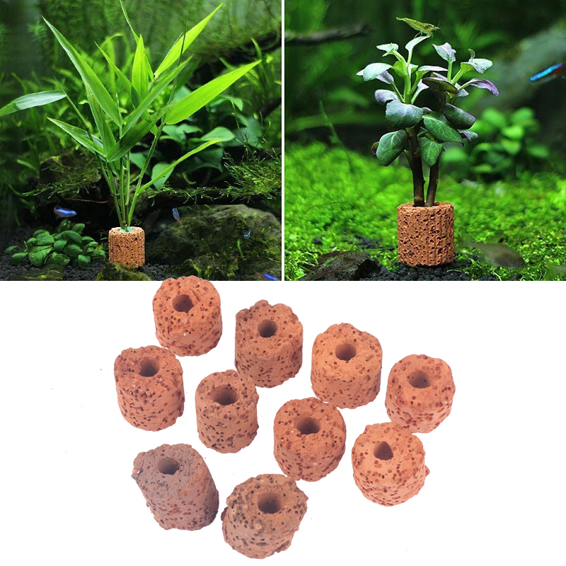 วงแหวนตกแต่งต้นไม้น้ำขนาดเล็ก  - Aquarium Planted Tank Setup บทวิจารณ์และราคา