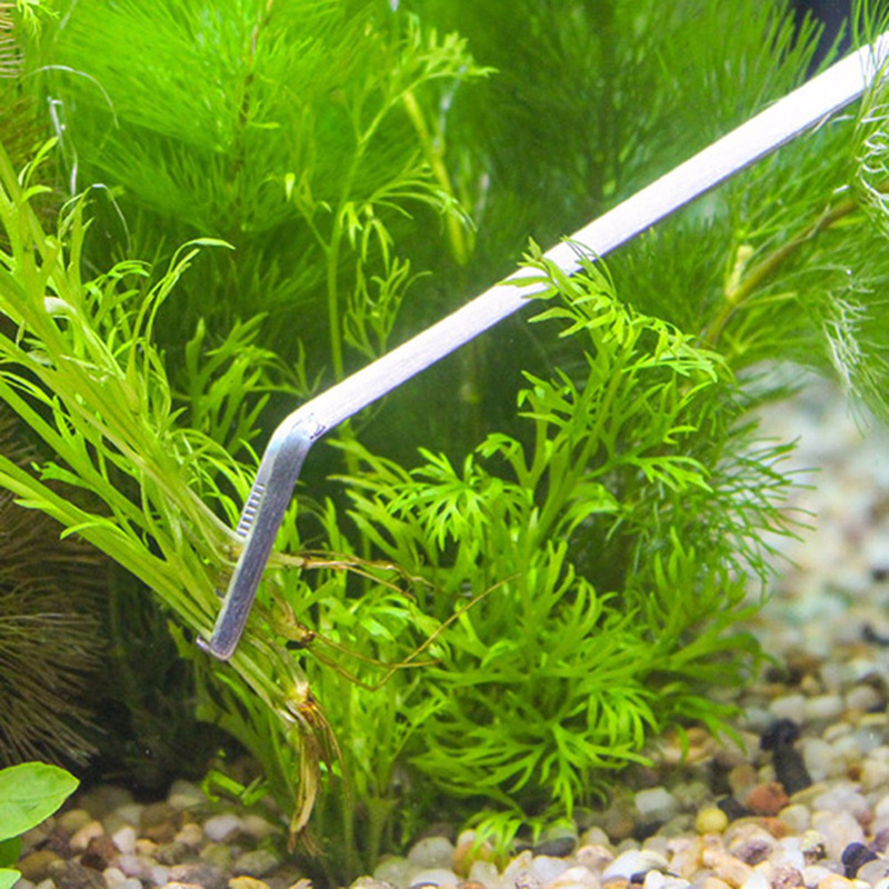 ชุดเครื่องมือดูแลตู้ปลาแบบมืออ - Planted Aquarium Tank Kit บทวิจารณ์และราคา