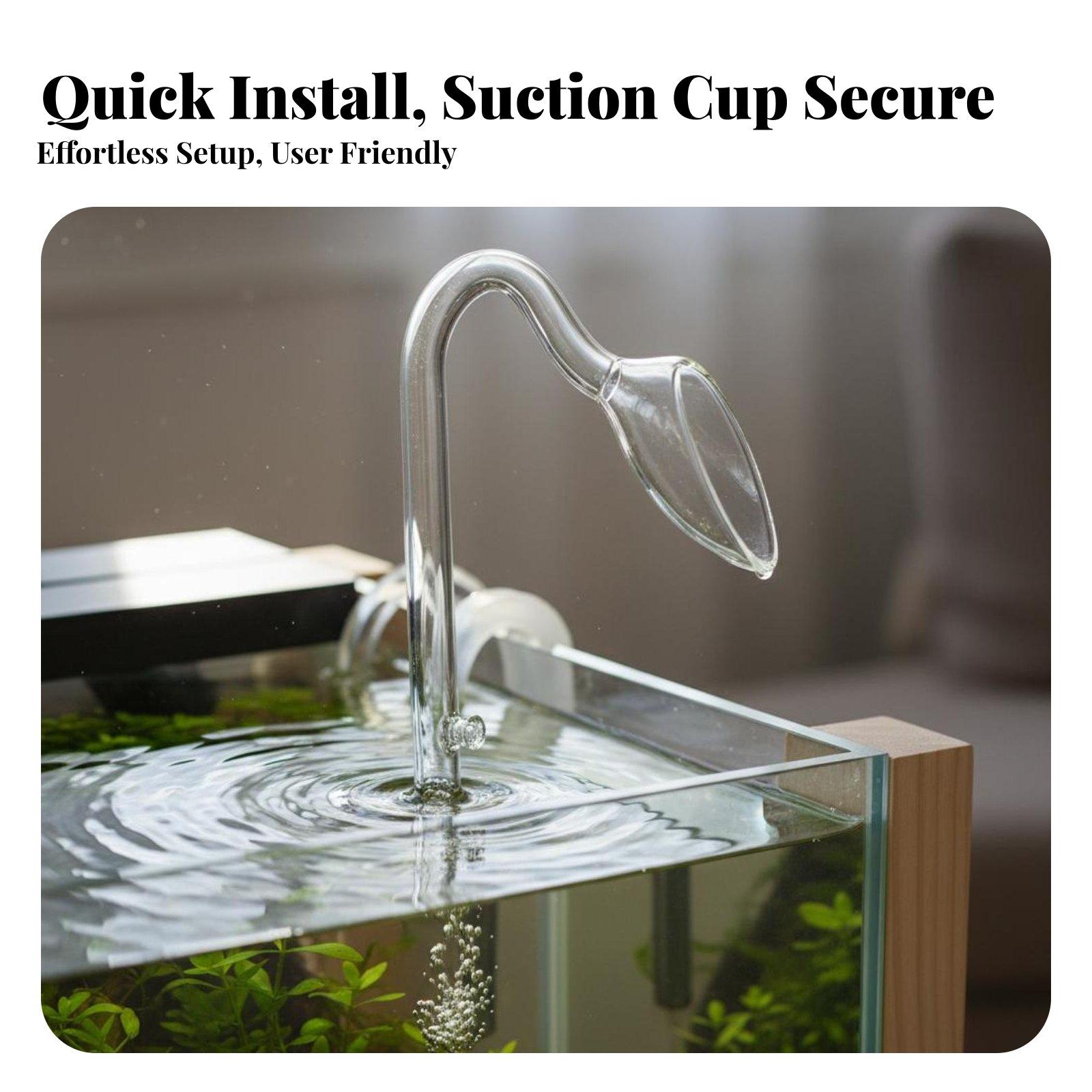 อุปกรณ์ตู้ปลาแก้วใสพิเศษ ลิลลี - Aquarium Planted Tank Setup บทวิจารณ์และราคา