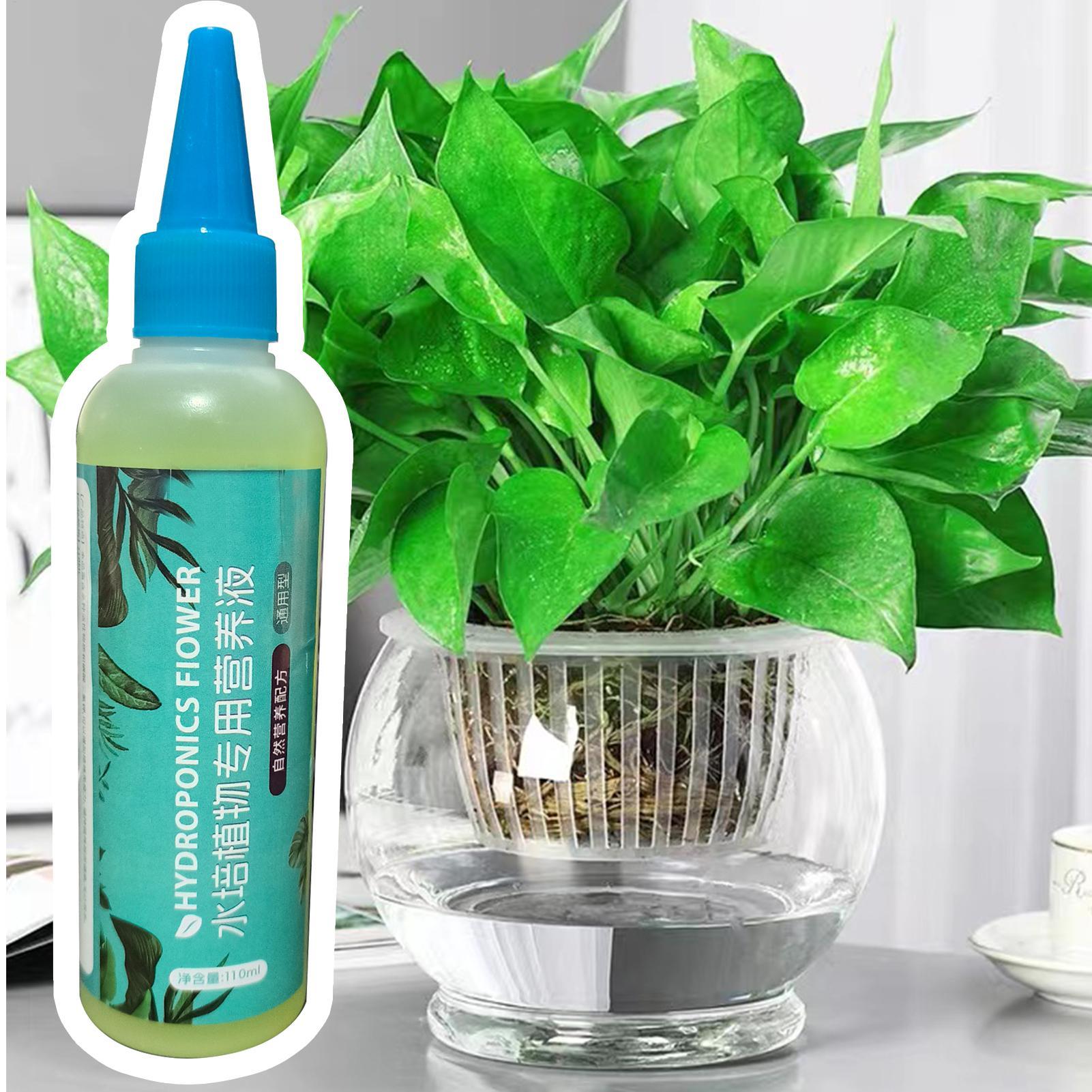ปุ๋ยน้ำสำหรับพืชไฮโดรโปนิกส์ 1 - Liquid Fertilizer All In บทวิจารณ์และราคา