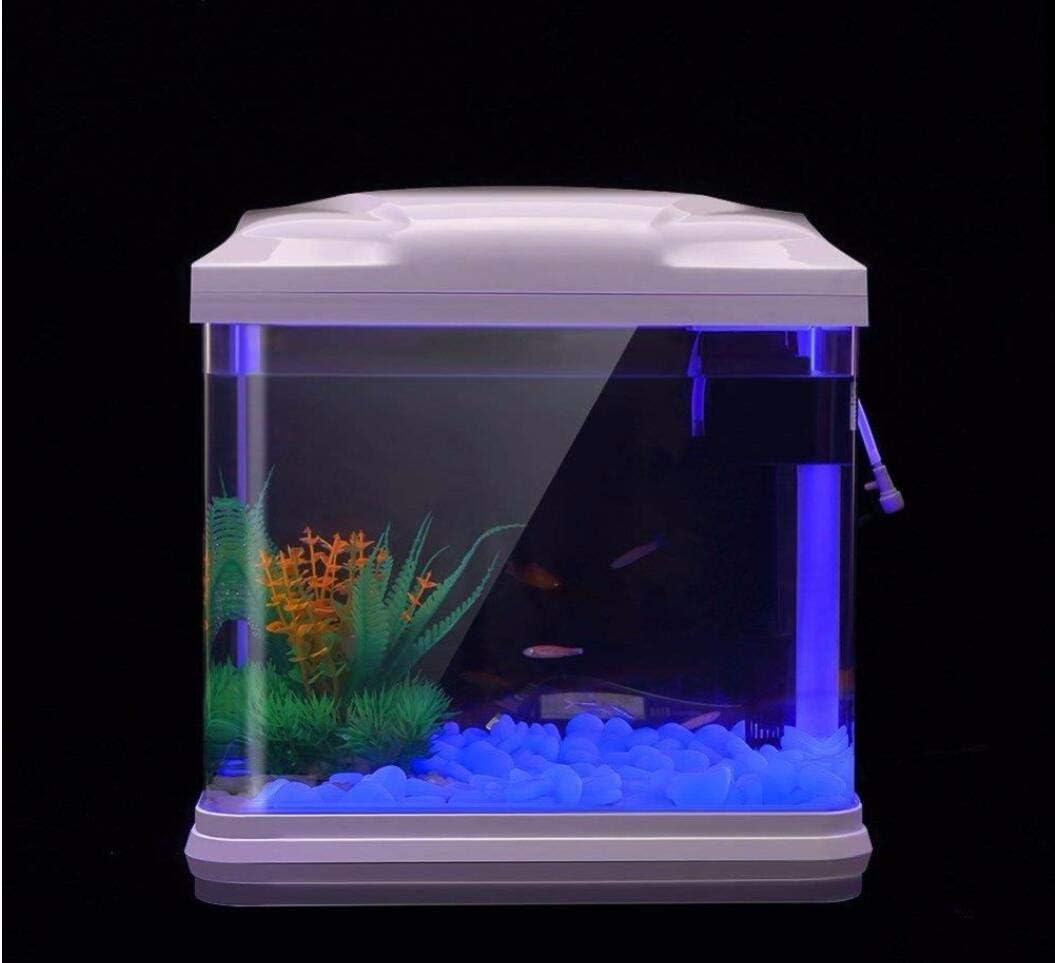 ถังปลา Rocks Glow Blue Pebbles - Aquarium Planting Ideas บทวิจารณ์และราคา