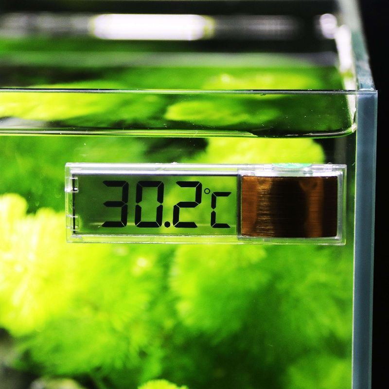เทอร์โมมิเตอร์วัดอุณหภูมิในตู้ - Planted Aquarium Temperature บทวิจารณ์และราคา
