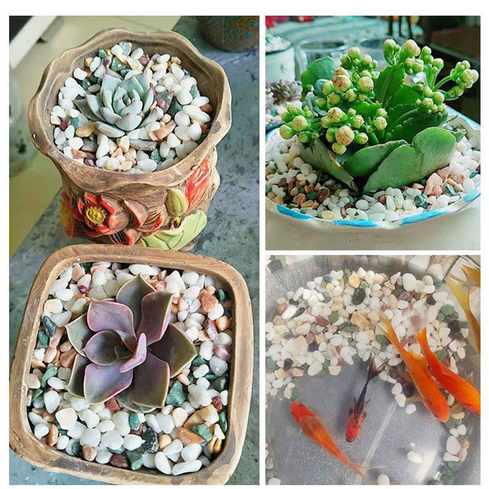 หินกรวดคริสตัลธรรมชาติ 100 กรั - Planted Aquarium With Gravel บทวิจารณ์และราคา