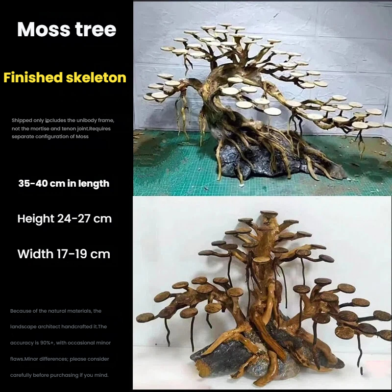 ต้นไม้ประดับตู้ปลา ตกแต่งด้วยม - Aquarium Planting Ideas บทวิจารณ์และราคา