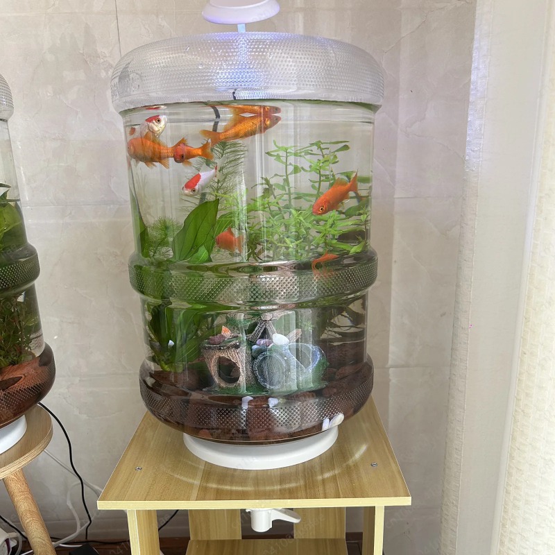 ตู้ปลาสำเร็จรูปขนาด 30x30 ซม.  - Aquarium Planted Tank Setup บทวิจารณ์และราคา