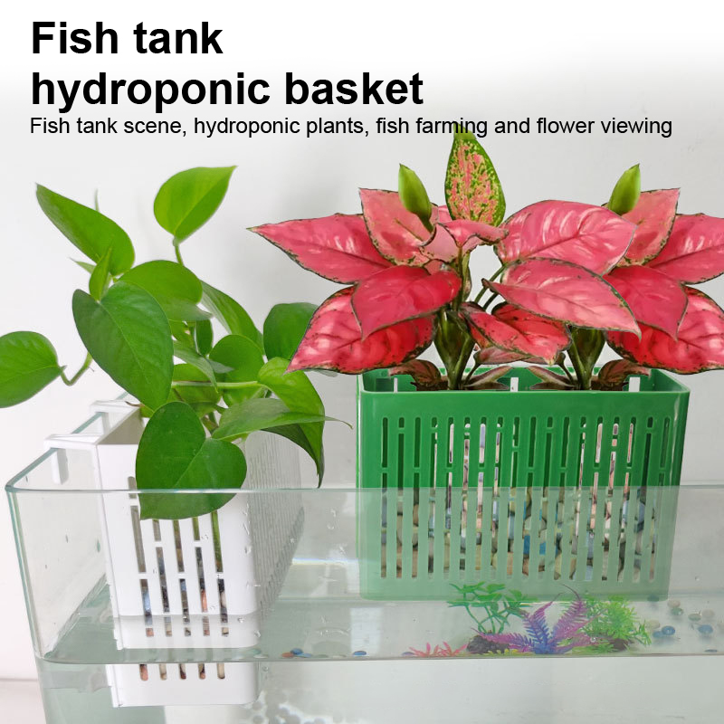 【F】กระถางแขวนตู้ปลา ที่วางต้นไ - Aquarium Planting Ideas บทวิจารณ์และราคา