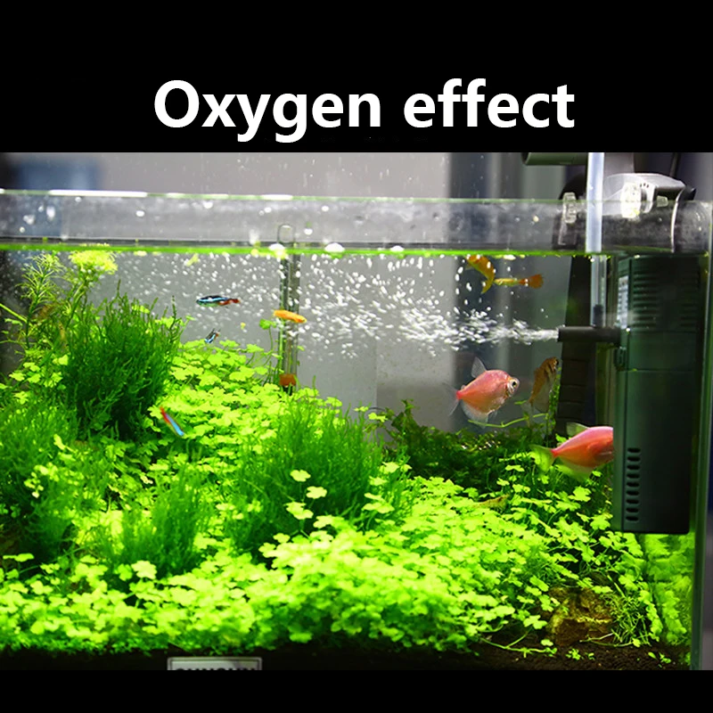 Sunsun 311B 111B ขนาดเล็กนาโน6 - Aquarium Planting Ideas บทวิจารณ์และราคา